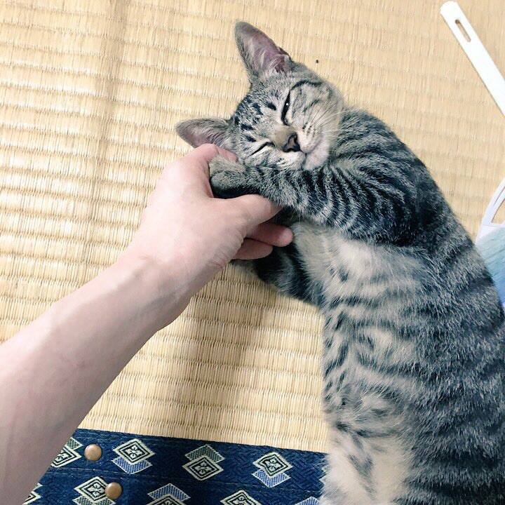 B43ea145 f1ae 4c7b 8ee7 b0bbcbf27964