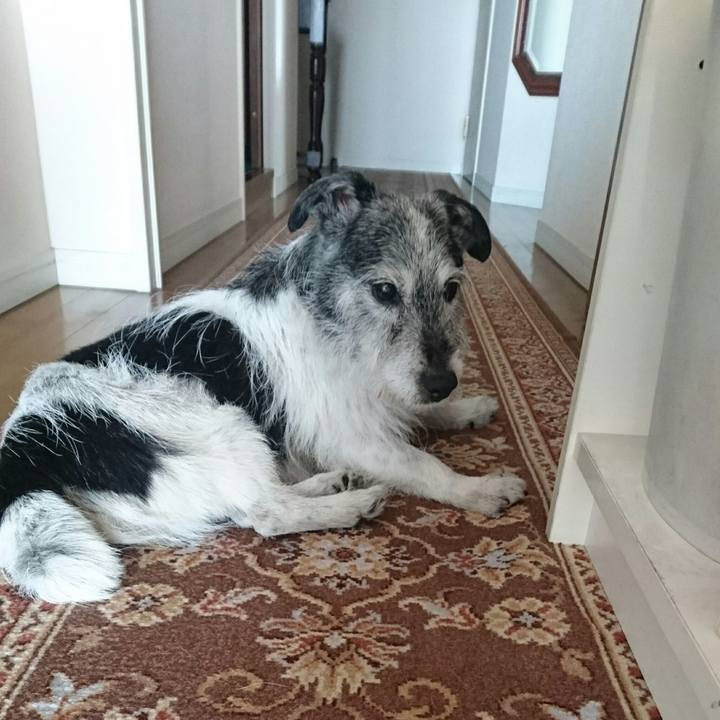 B43ea689 71ec 498c b233 1e8e84e02cbf