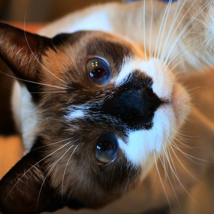 B43f3356 1134 446f 83be 29f0a1b25c82