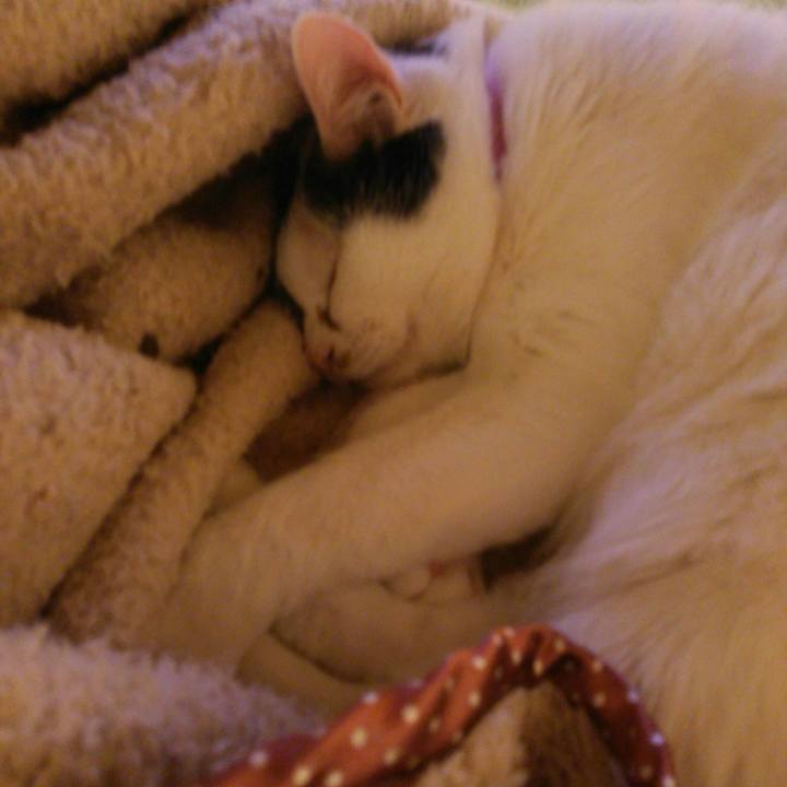 B43f578c 3435 4daf b9ed d430230eb0a6