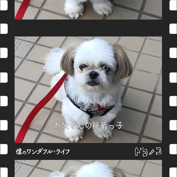 B43fb0b3 3f1d 4d5a a506 3657c2c0f4c0