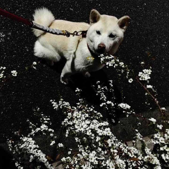 B43fc163 0271 47a2 b8fb c75dbfb3c18d