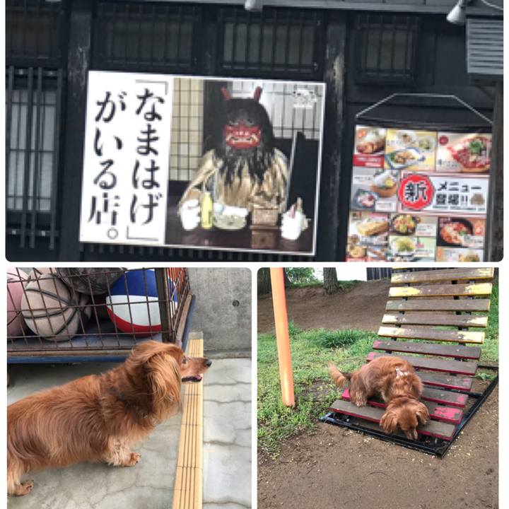 B43fcadc 79ae 4f34 9b66 6327b6f3abd0