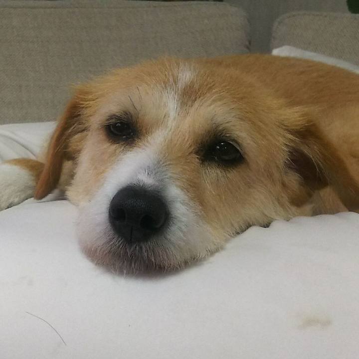 B4401c16 a552 49d6 8fae 9435611fc714