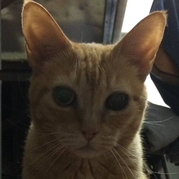 B4409f41 1a51 4011 896a 337c052baaf0