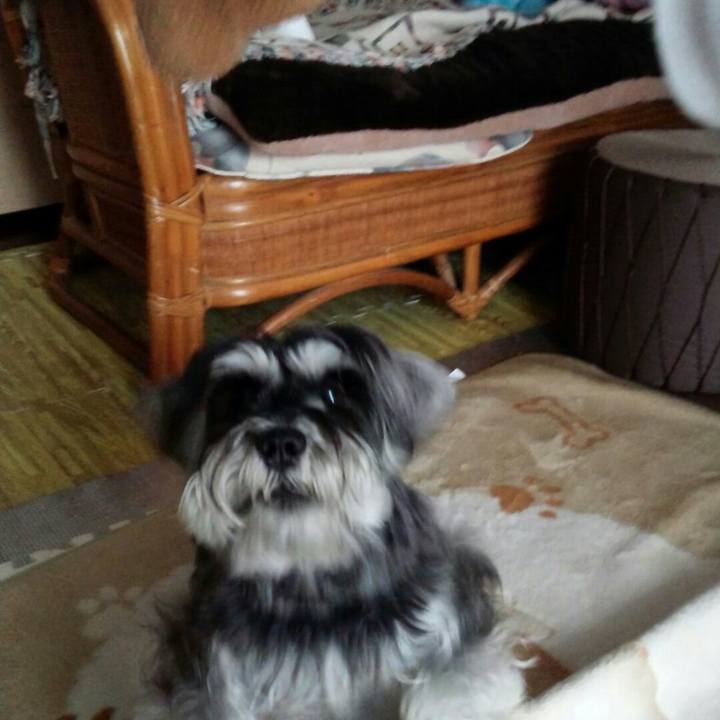 B440be50 4fd5 4b7b b3b6 3d713ff93197