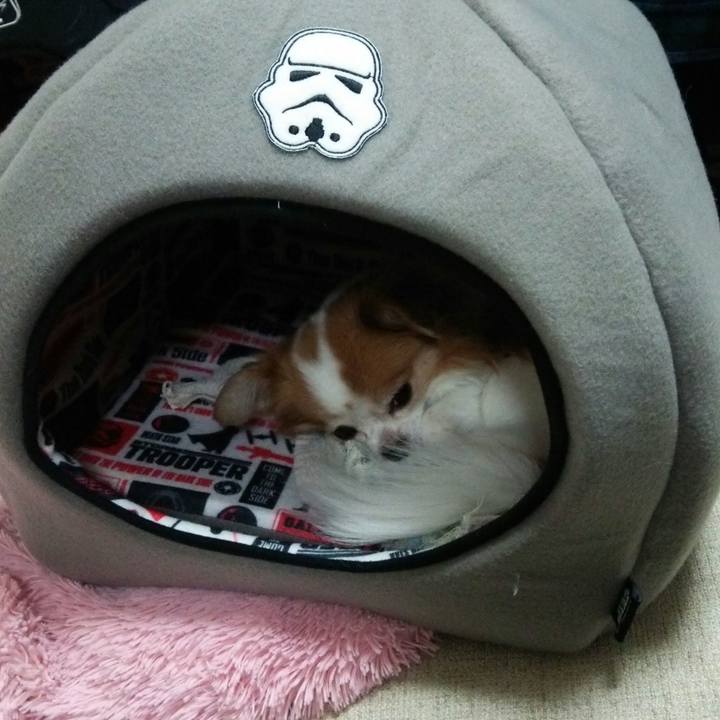 B440c698 bdb7 4508 b22e 14ce5fe0701e