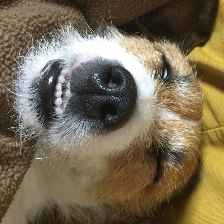 B440ebf6 b856 441b 91a0 91a4271784ae