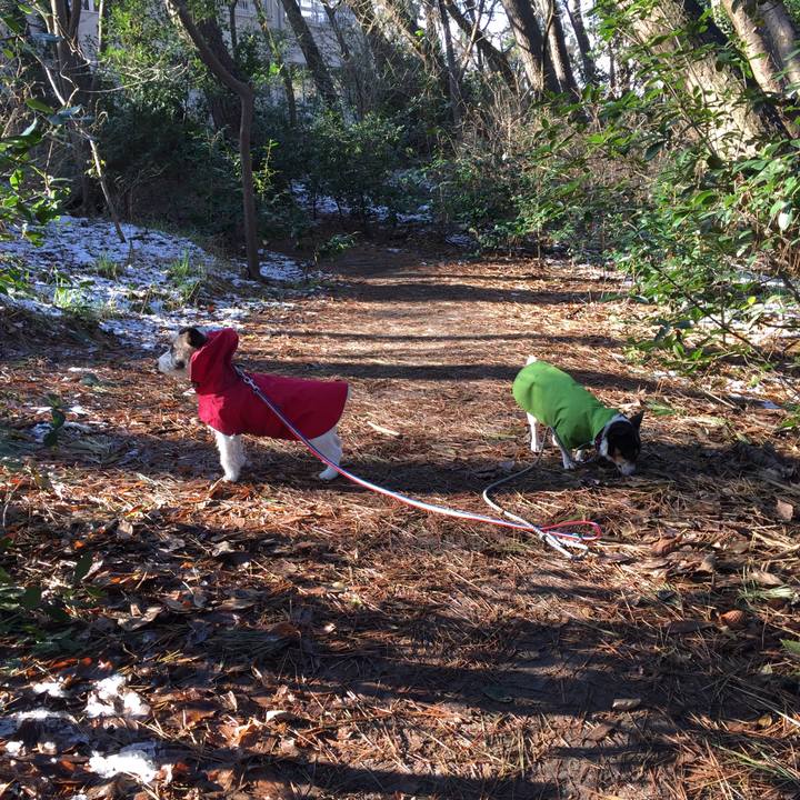 B441becc b89d 451e 815c 7e1573608080