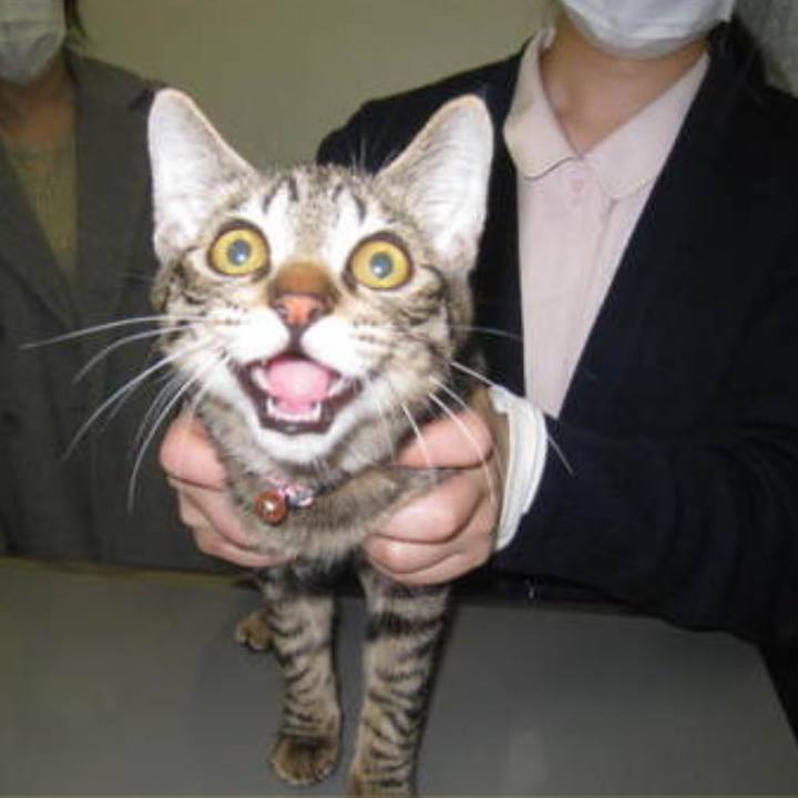 B4422f96 068b 473e a718 906c3b8b9b5c