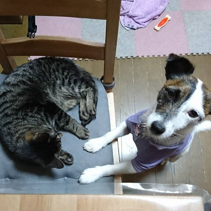 B442531e 03e1 453d a4f2 4a5e0c77de98