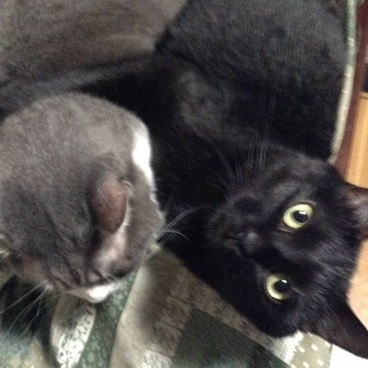 B442d0f2 346d 453d af1c 3ed08777e638