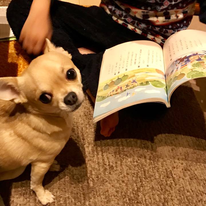 B442d448 94c3 4b38 a9ac 3f2be98a558a