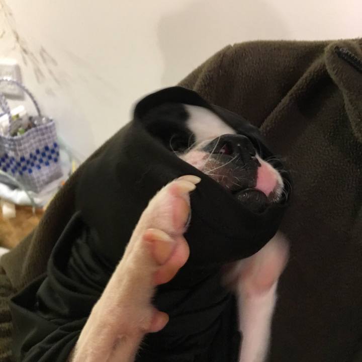 B4432baf 5f29 4289 a6bd c3a84ec6260f