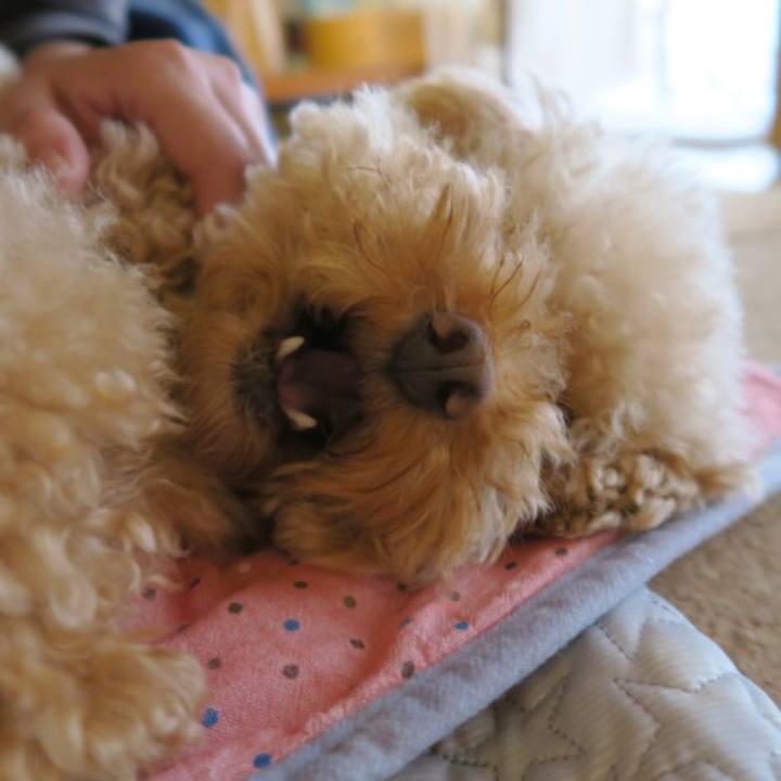 B443881d fbb8 4fa5 b980 9d46cc228cc8