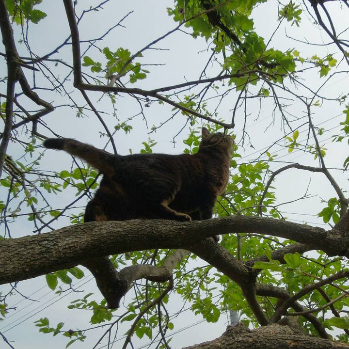 B4439465 0cc1 402b a6e8 4c71a7ecb4b6