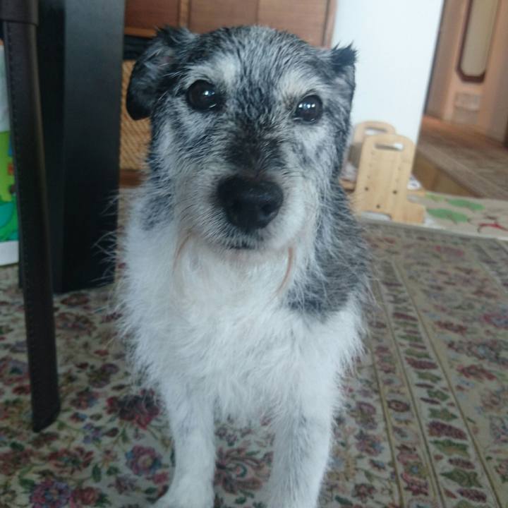 B443b6bc cae2 44d1 baa1 f6fbaecc7fcf