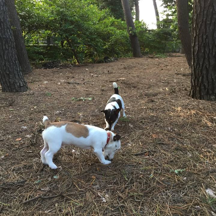 B443fcb6 2c82 49ee 9695 5eefd76aca7a