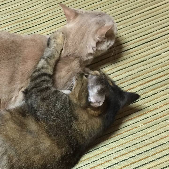 B4457e89 be89 4a26 9498 7defe5f5e2c5