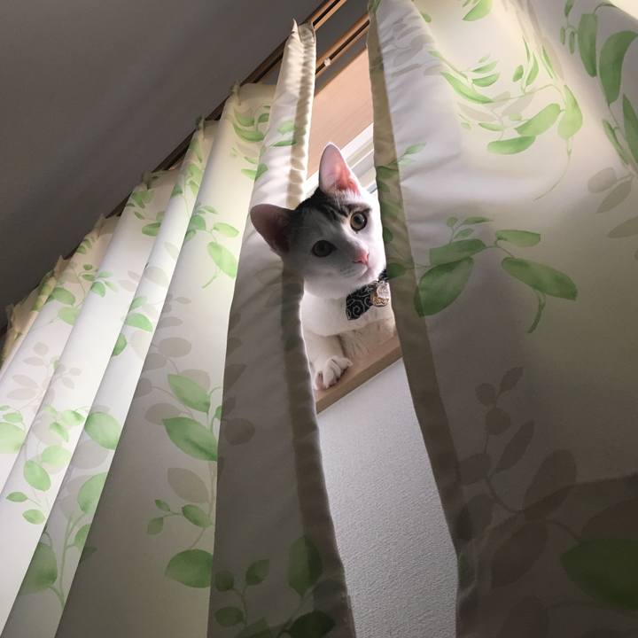 B445fba2 115c 4e3d b058 180afef3d2f5