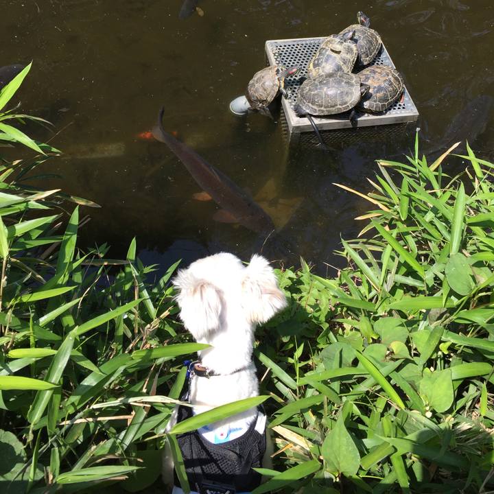 B446386f 4178 4936 a767 b54b17551474