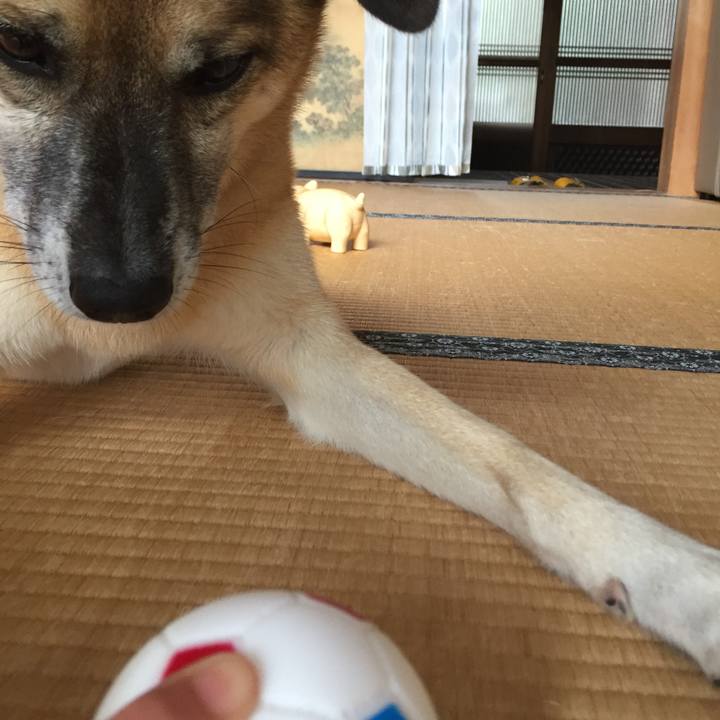 B446d04c c045 408e bc6d e1dd51556c42