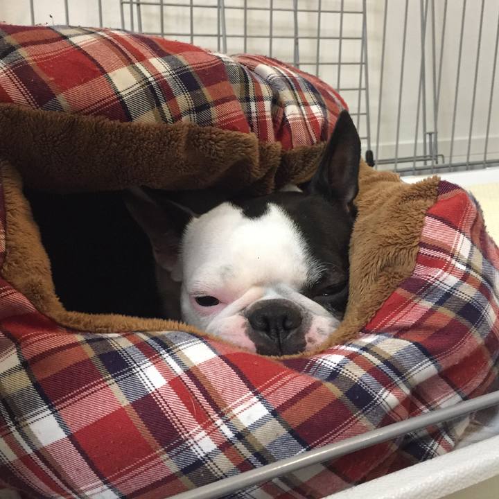 B447445f 0b37 48a2 b82a 2ce3b6425605