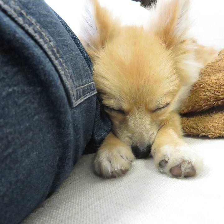 B4475ef6 6aec 45a4 b3df aeab75b1c193