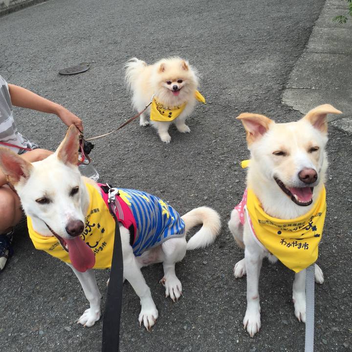 B447c10a 580d 4514 9d33 ab0b4ca9eeed