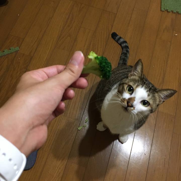 B448126a 2d49 4e41 b704 9d7fdd7745fd