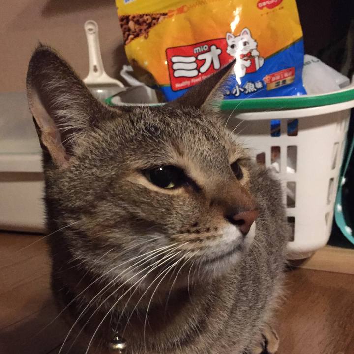 B44823c3 6e25 43b8 89bd d1ff69f07c65