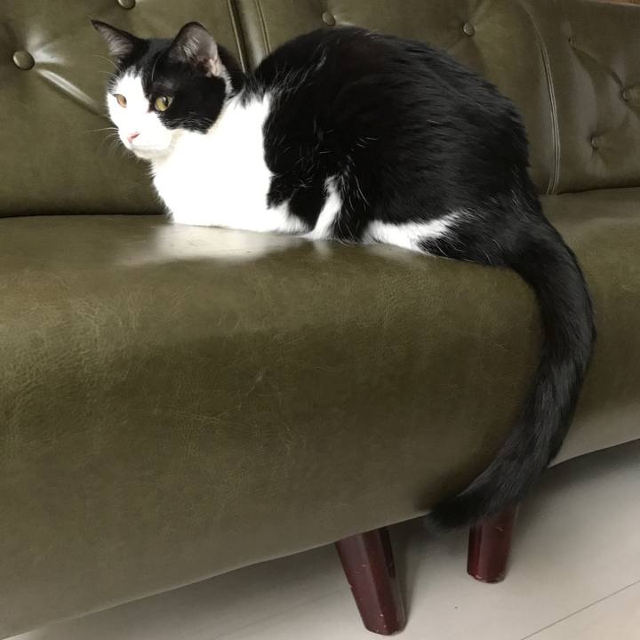 B4484e44 1b65 4071 aec0 351d0d9bd72b