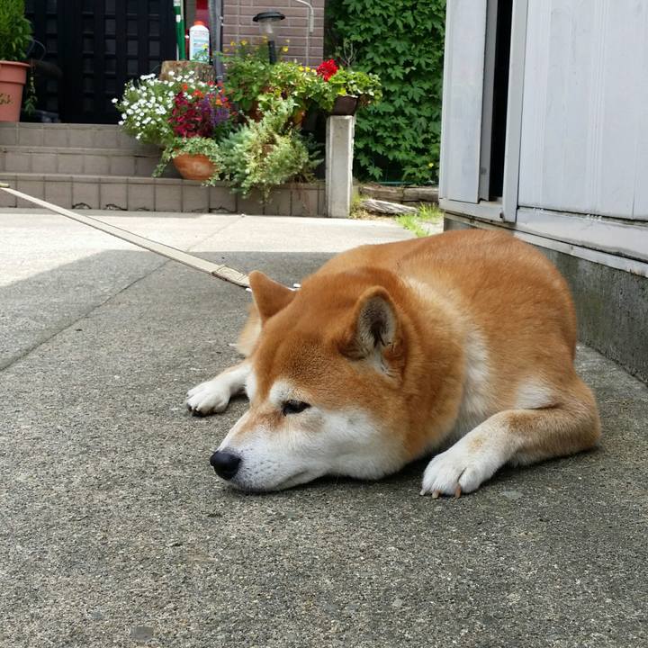 B4489783 7bca 4806 bd35 62f1d482ef83