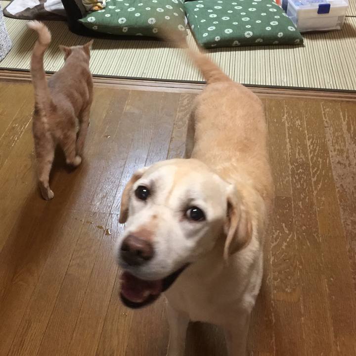 B448985f 9e70 4725 8065 e937a3d50a70