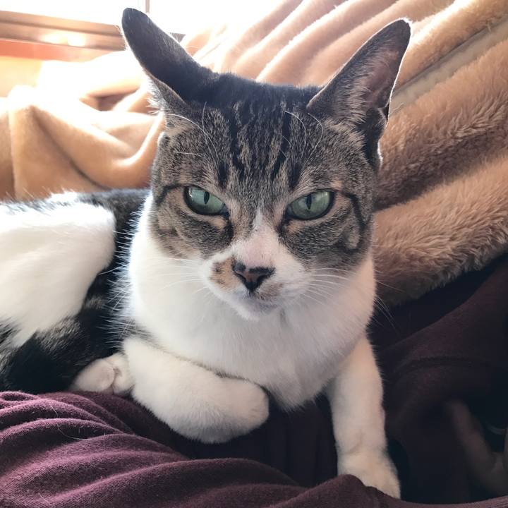 B449758b d400 4338 b39a bc706b8d0193