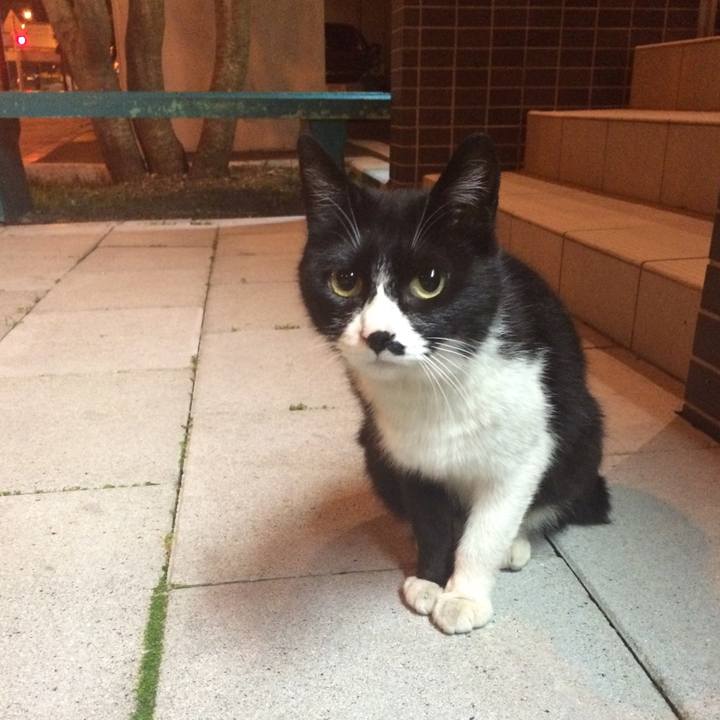 B4497ebd 0f46 4650 8e2b e10f53bae3f2