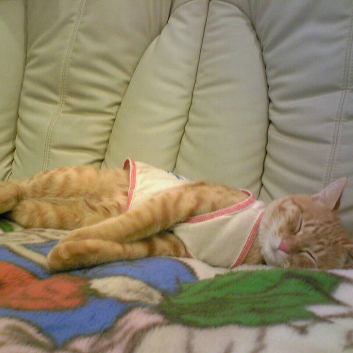 B449dfae fbe5 4db9 879d c0fd4bf12c53