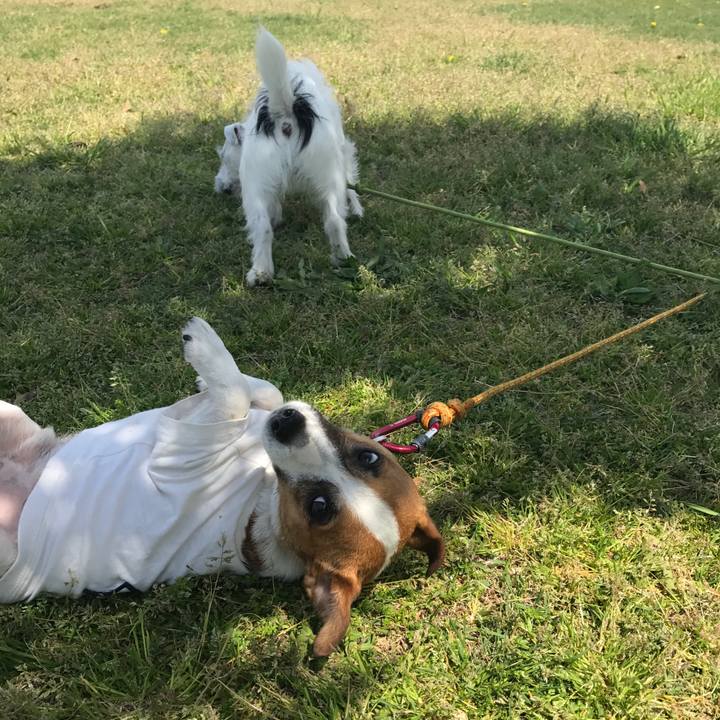 B44a2fb0 2df2 4fed 813b 2c25bc1340ea