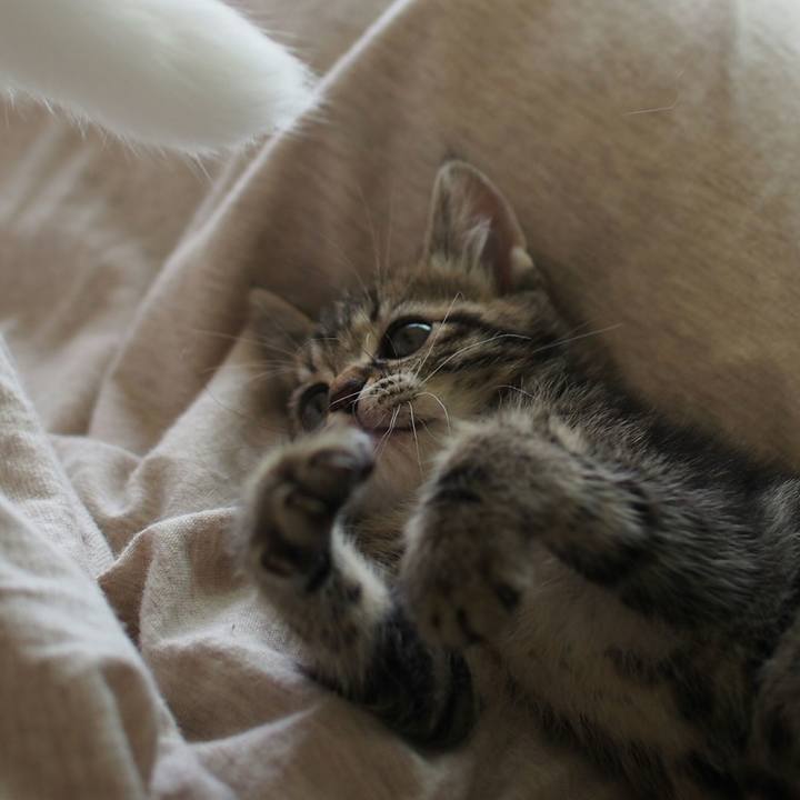 B44ab9ff 7e40 4aba 858c 5402f0f6fcff