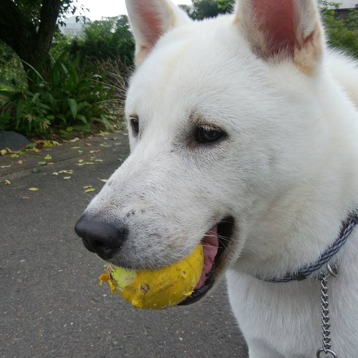 B44adeab 6355 44b5 a692 8cb43a3025dd