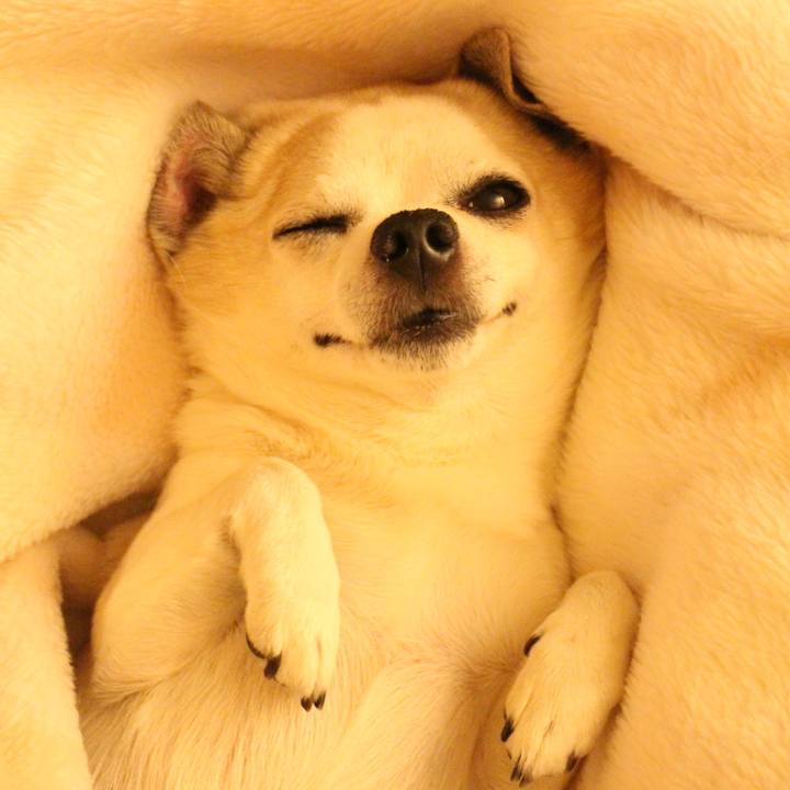 B44b0def 5fb0 4193 b02a 2ecd5fca7f75