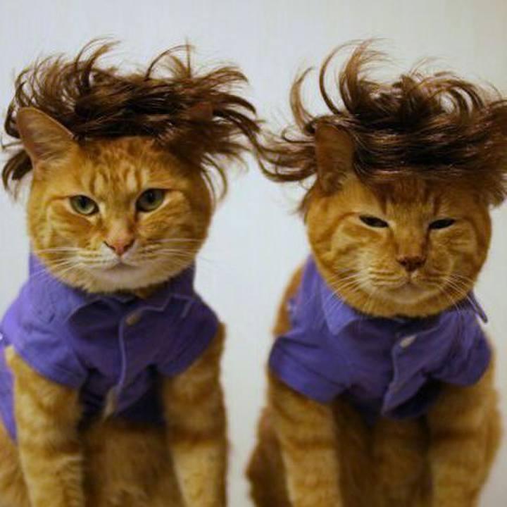 B44b1246 976a 4bbd a7a1 76e02c076400