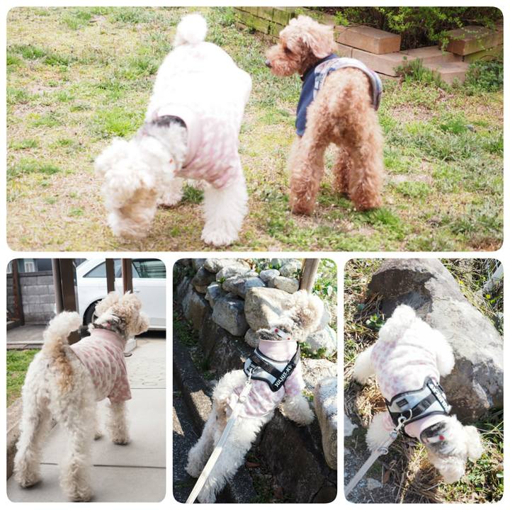 B44bdeaa c84d 448f b813 130b1579d6e6