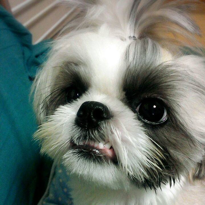 B44c3fff ad97 49d1 a70b 57545f188aa8