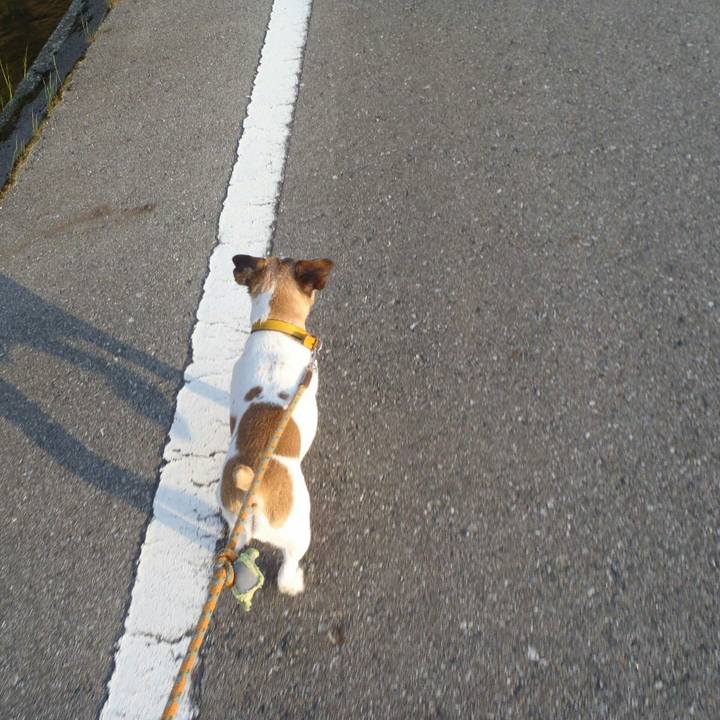 B44d71b9 3f9b 4c2e b63d 75ce68697e77