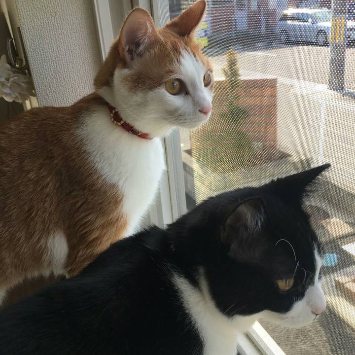 B44d9438 ec16 49fc b0d6 579b7c72e6bb