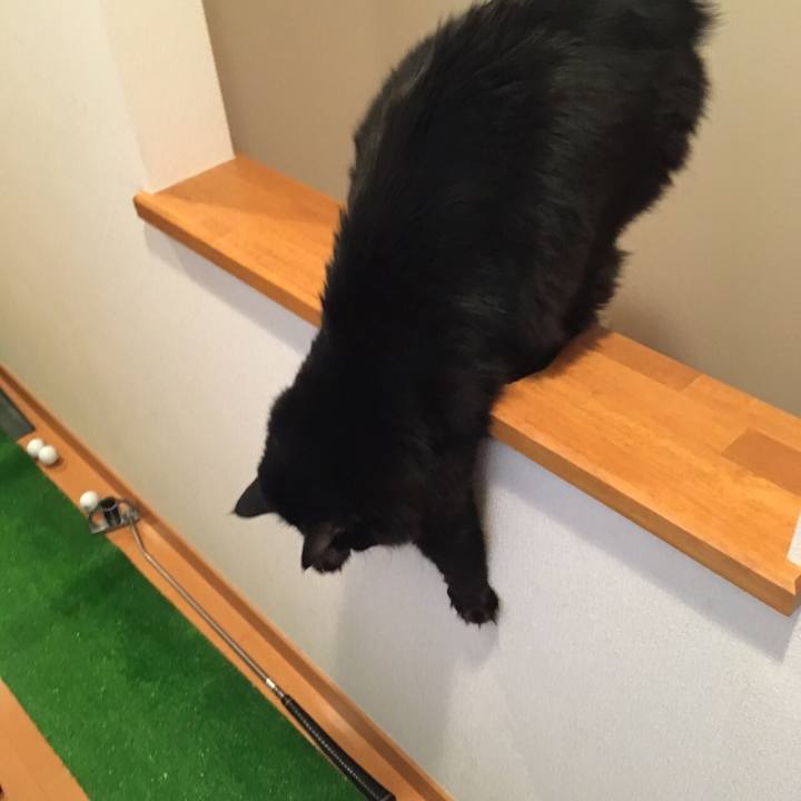 B44e7d77 3dcd 45fb abd4 028f101fcf60