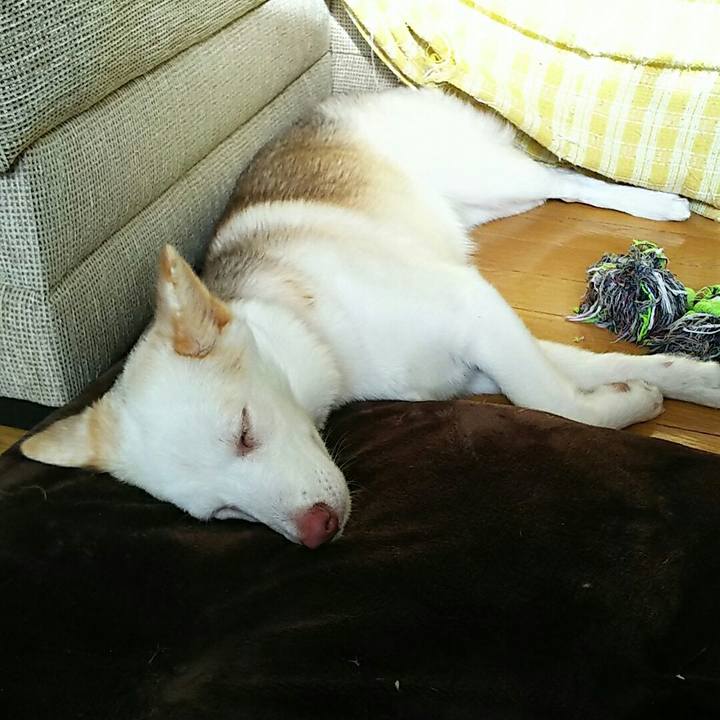 B44f8c5e af91 4e6f a6e4 6ebea502959d