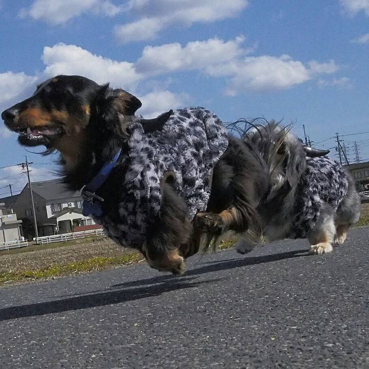 B44fb81f e231 4eb7 b8e5 ccafb6a4d4f2