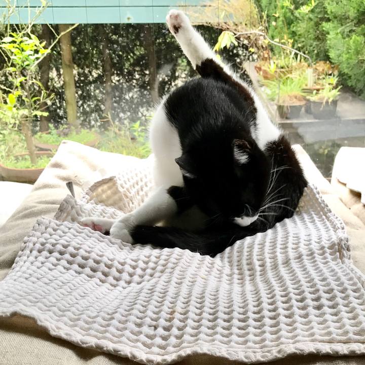 B450b50b b37f 4a5a 8fe0 f09e8e13d7f6